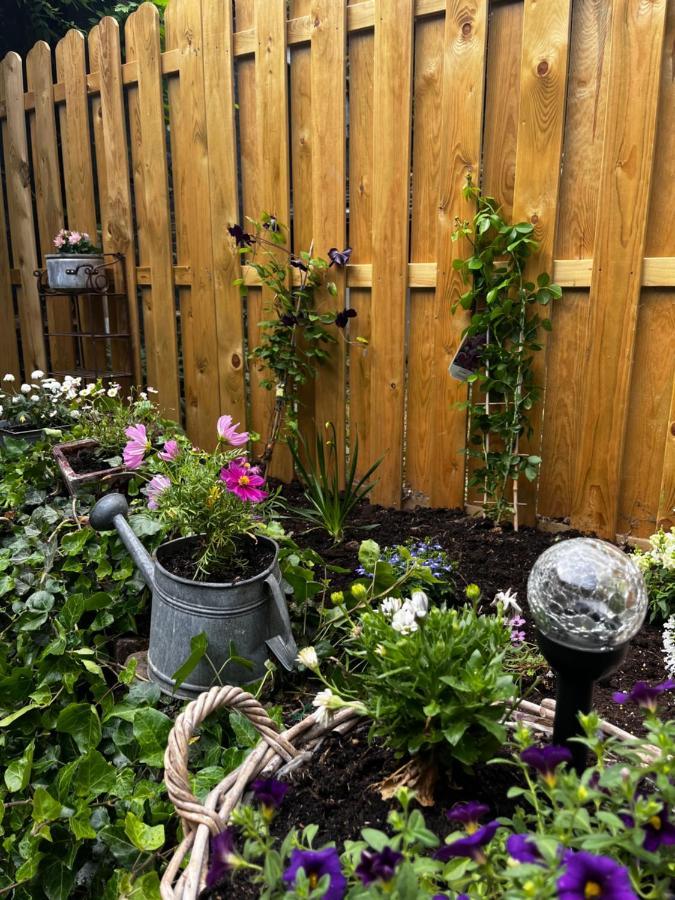 Ferienwohnung Terrassenblick ツュルピッヒ エクステリア 写真